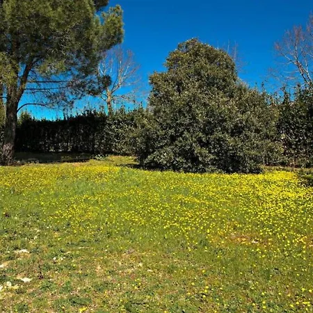 Chianti House Holiday home